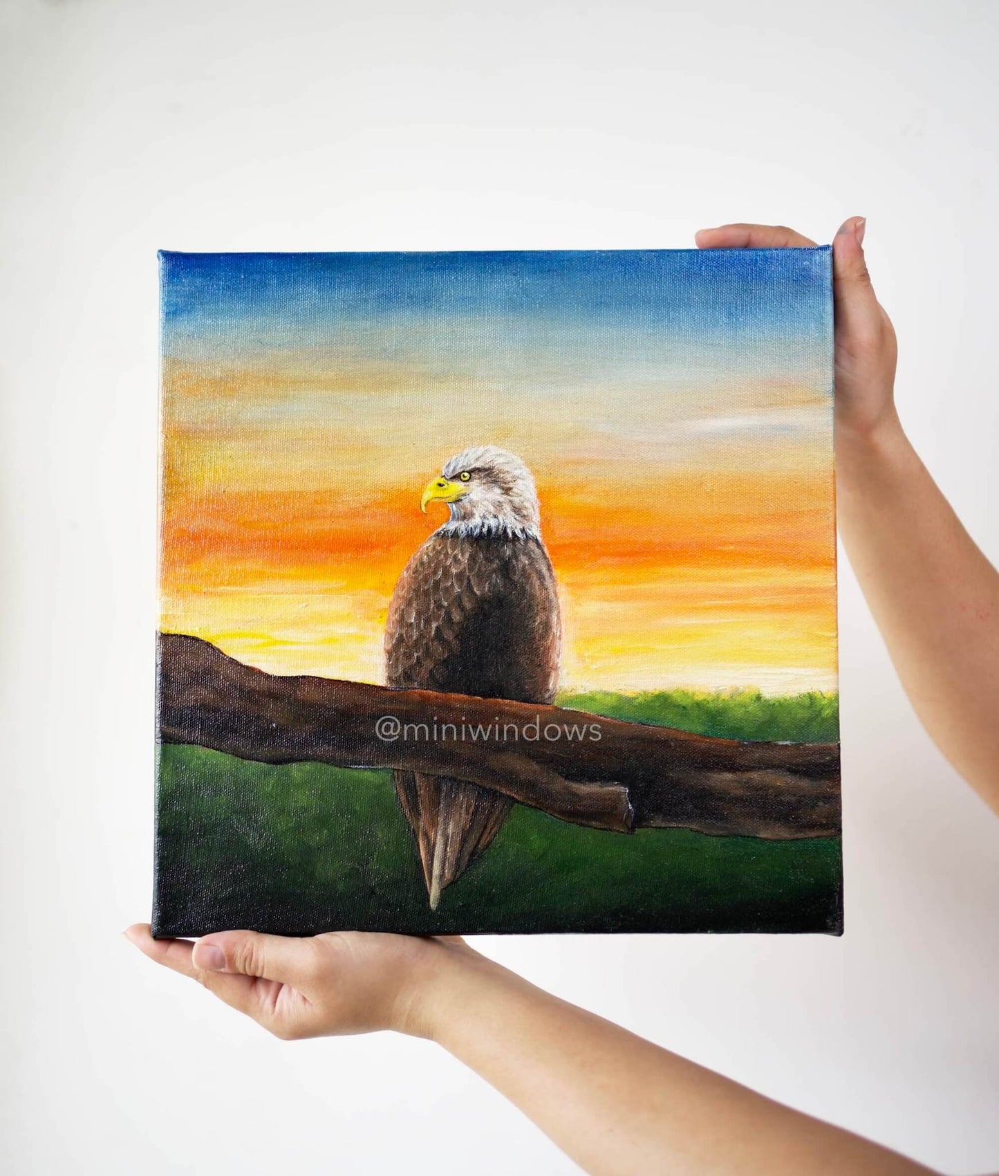 Majestic Eagle Oil Paintings: Mini 4x4"or Medium 12" Canvas